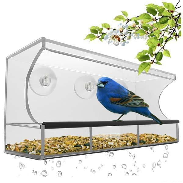 Alimentador de Pássaros para Janelas - Observação Clara de Pássaros Selvagens
